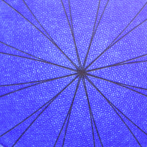 Detail of the center of "Blue Rose" drawing. © Copyright Mary Wagner